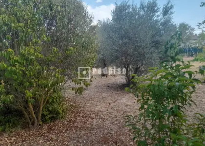 Chalet en venta en Almoguera, Guadalajara en Almoguera