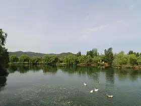 Chalet Venta Malagon, Malagon en Malagón