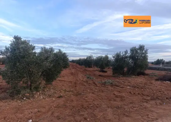Finca Rústica en Valdepeñas, Carretera Moral