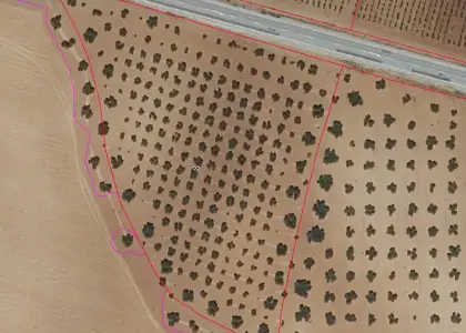 Finca Rústica en Valdepeñas, Valdepeñas en Valdepeñas