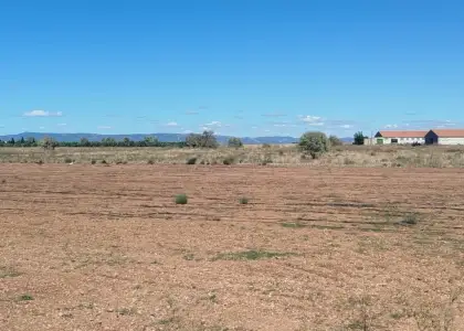 Finca rústica en venta en Daimiel en Daimiel