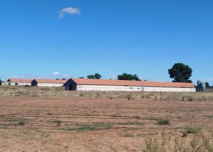 Finca rústica en venta en Daimiel en Daimiel