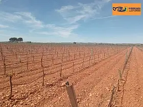 Finca Rústica Venta Carretera Santa Cruz, Valdepeñas en Valdepeñas