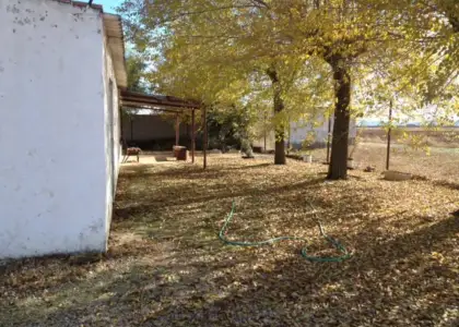 PARCELA RUSTICA en venta en Valdepeñas