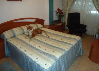 Piso de 3 dormitorios. Reformado. Totalmente amueblado. en Manzanares