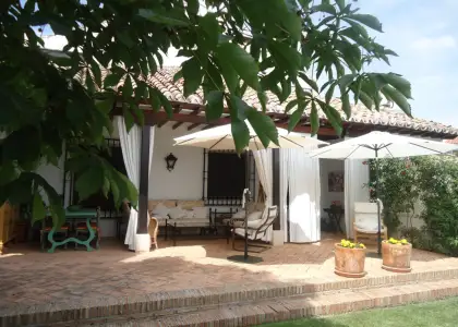 Se vende chalet de cinco dormitorios en zona Paseo del Rio en Manzanares