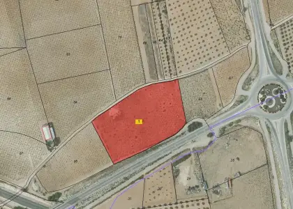 Terreno / Urbanizable En Venta SANTA ANA 1, Socuéllamos en Socuéllamos