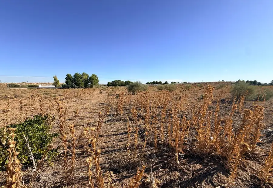 Terreno / Urbanizable En Venta SANTA ANA 1, Socuéllamos en Socuéllamos