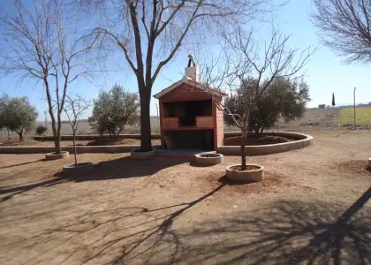 Venta de finca rustica en Camino de las Cuevas en Manzanares