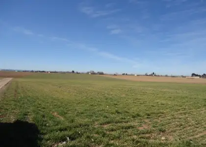 Venta de finca rustica en Camino de las Cuevas en Manzanares
