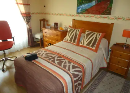 Venta de piso de tres dormitorios muy centrico, garaje y trastero totalmente amueblado en Manzanares